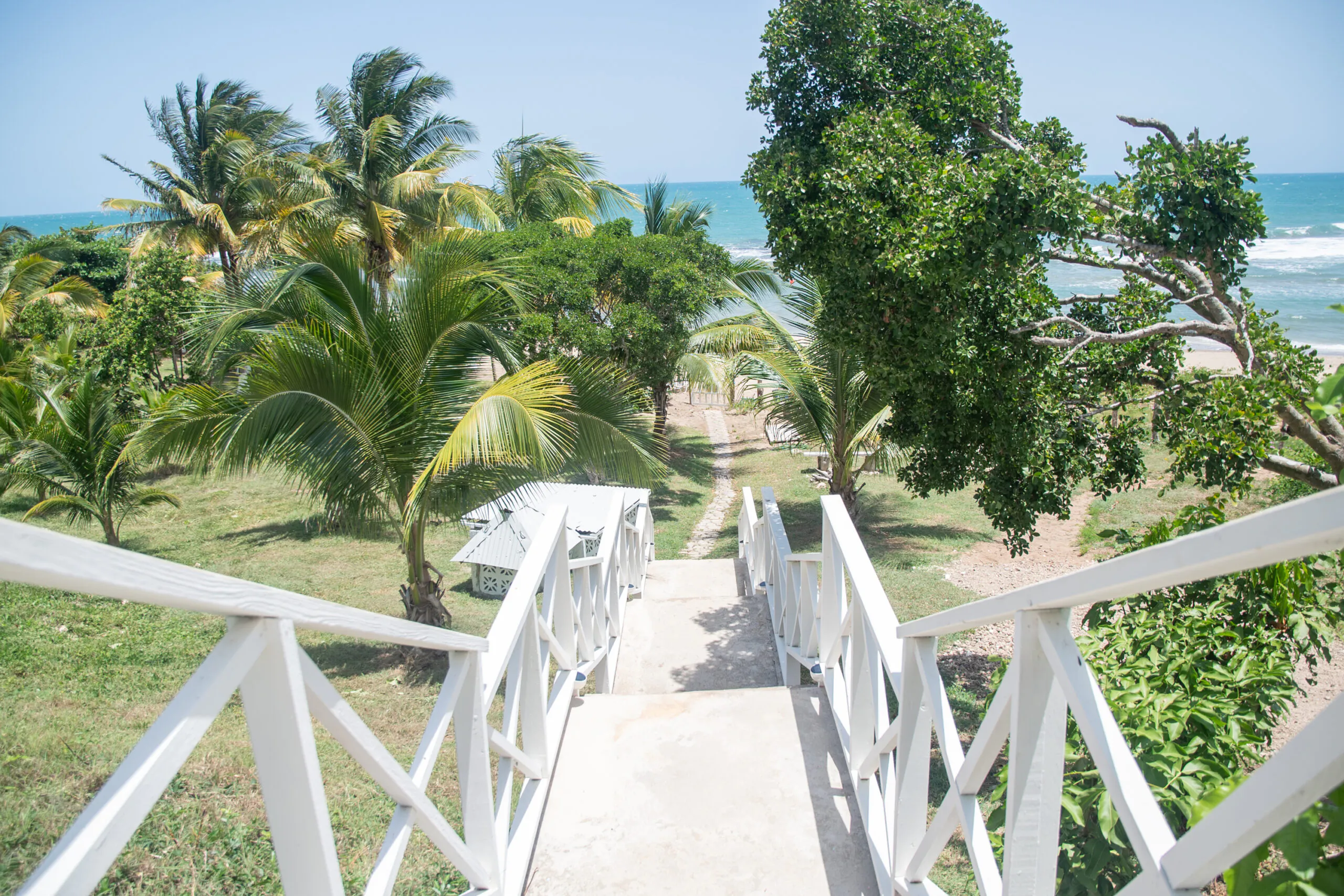 MycoMeditations Location Retreat Jamaica