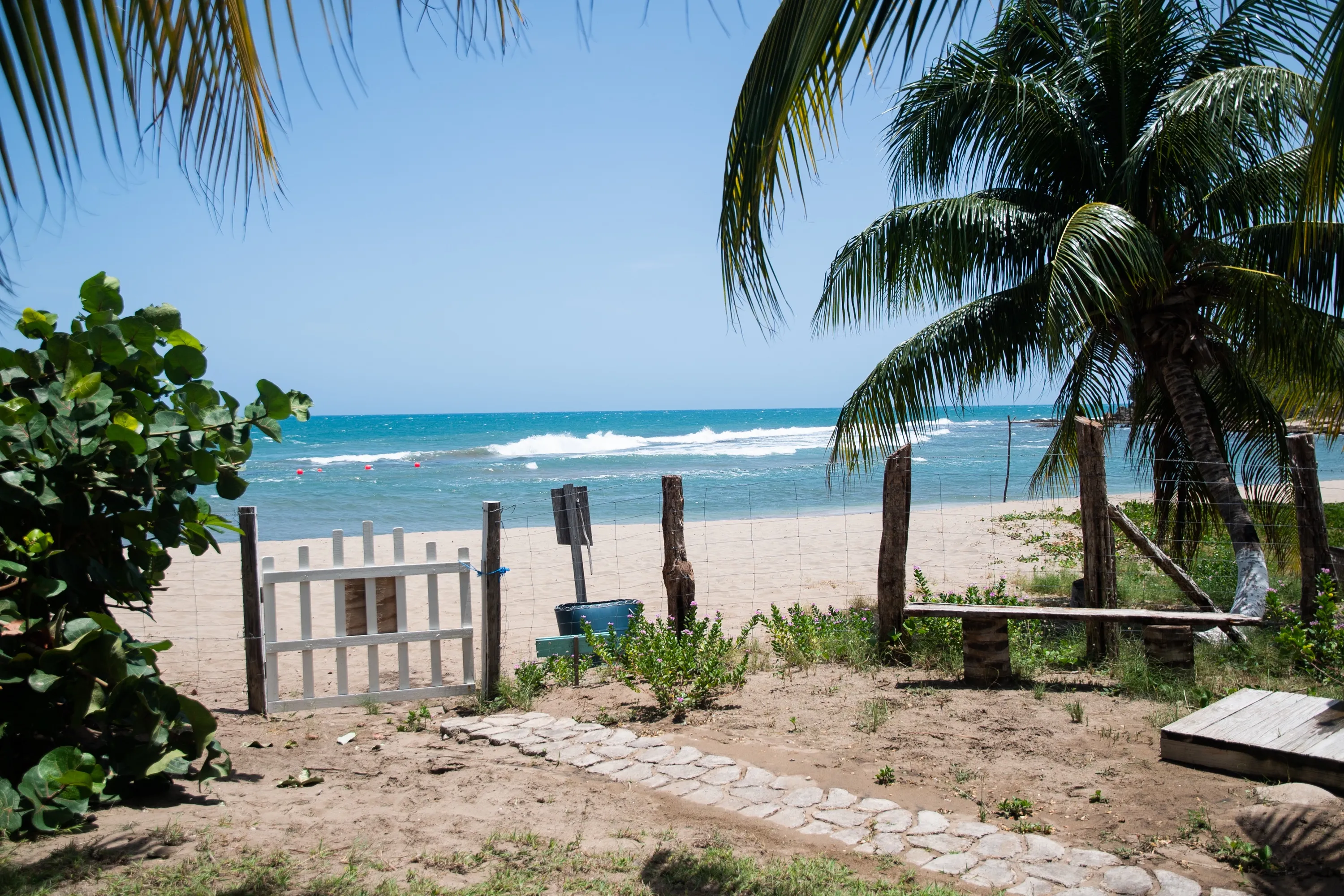 MycoMeditations Location Retreat Jamaica